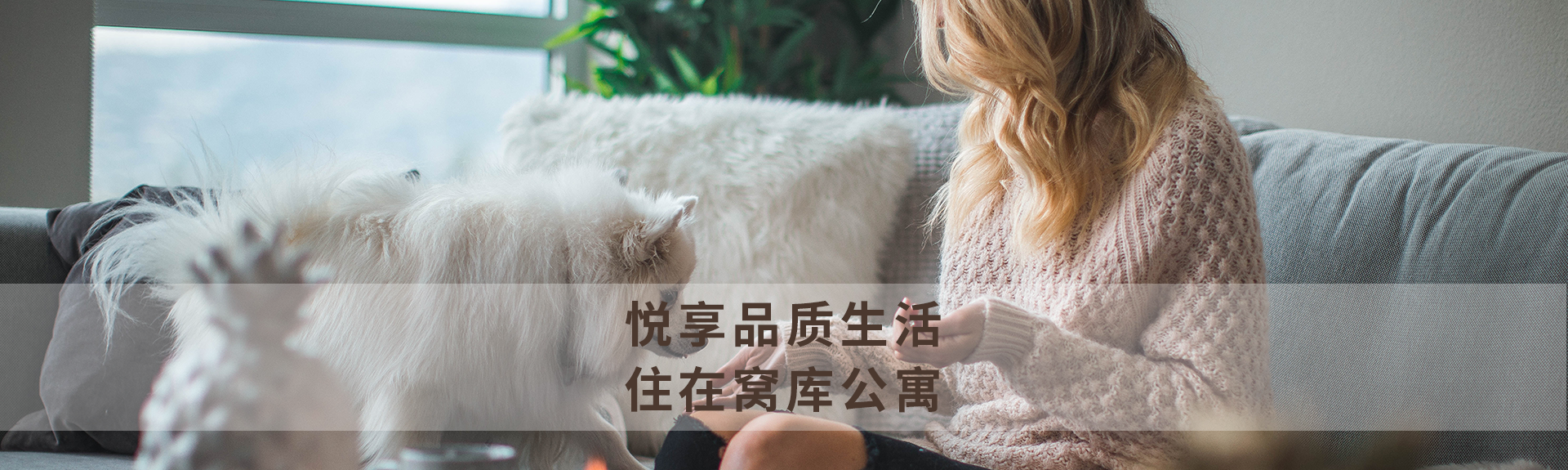 深圳租房网