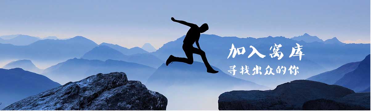 区域代理,盛大招募